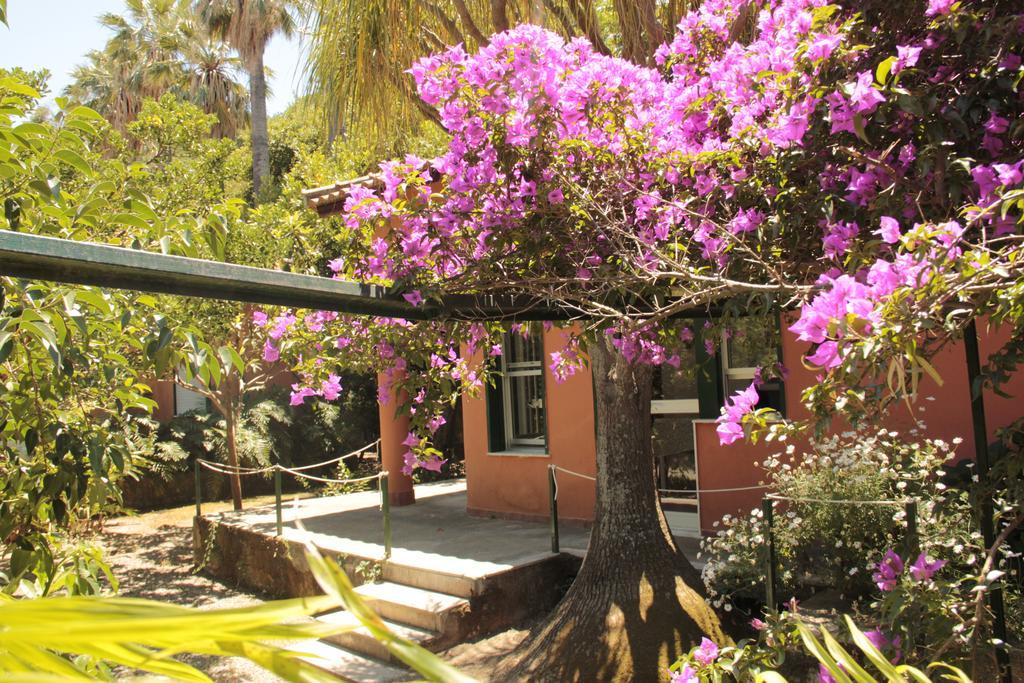 Le Palme Garden Villa San Giorgio  Exterior photo