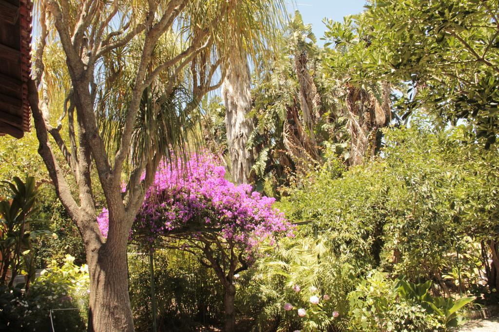 Le Palme Garden Villa San Giorgio  Exterior photo